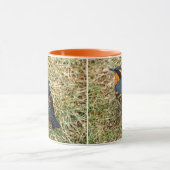 Mug Étonnante Grive variée sur la pelouse (Centre)