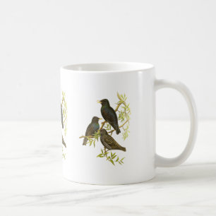 Mug Étourneau européen