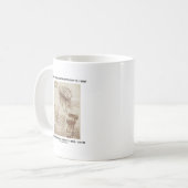 Mug Étude de la physiologie de cerveau (Leonardo da (Devant gauche)