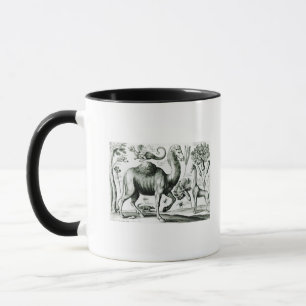 Mug Étude des animaux et des fleurs, gravée