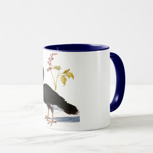 Mug Étude d'une Curassow Helmeted, Arcimboldo (Devant droit)