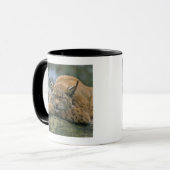Mug Europ�_ischer Luchs, Eurasischer Luchs (Lynx (Devant gauche)