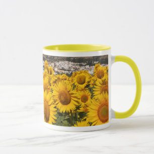 Mug Europe, Espagne, Andalousie, province de Cadix