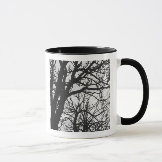 Mug Europe, France, Paris. Les arbres d'hiver, Marco (Droite)