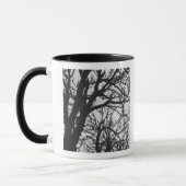 Mug Europe, France, Paris. Les arbres d'hiver, Marco (Gauche)