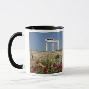 Mug Europe, Grèce, Cyclades, Délos. Ruines de colonnes