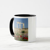 Mug Europe, Grèce, Cyclades, Delos. Ruines de colonnes (Devant gauche)