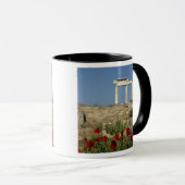 Mug Europe, Grèce, Cyclades, Delos. Ruines de colonnes (Devant droit)