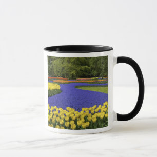 Mug Europe, Pays-Bas, Hollande, Lisse, Keukenhof