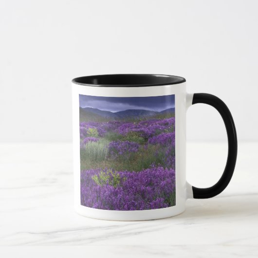 Mug Europe, Turquie, Cappadoce. Paysage rural 2 (Droite)
