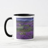 Mug Europe, Turquie, Cappadoce. Paysage rural 2 (Gauche)