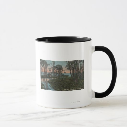 Mug Eustis, Floride - Vue sur le canal de Swampy (Droite)