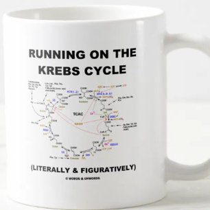 Mug Exécution Sur Le Cycle Krebs (Humour Scientifique)