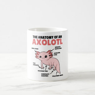 Mug Explication Axolotl Anatomie D'Un Axolotl