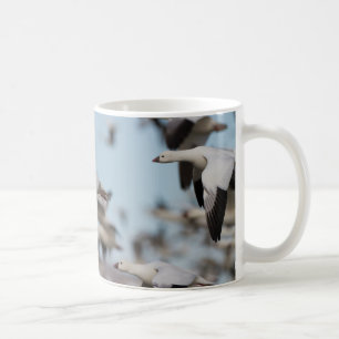 Mug Exploser dans le ciel de Socorro