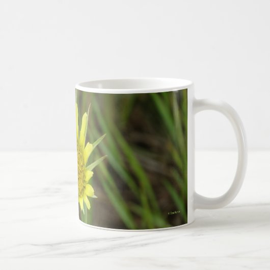 Mug F41 Barbe-de-chèvre jaune sauvage (Droite)