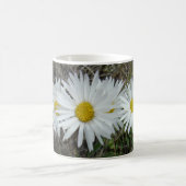 Mug F42 Fleurs sauvages blanches Aster lisse (Centre)