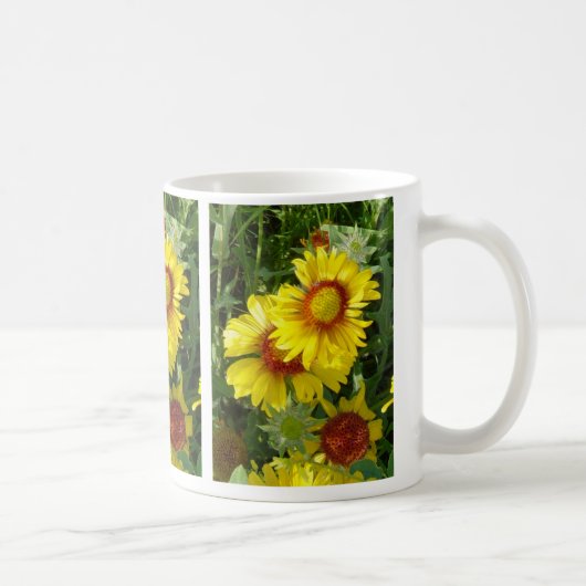 Mug F6 Fleurs sauvages jaunes Gaillardia (Droite)