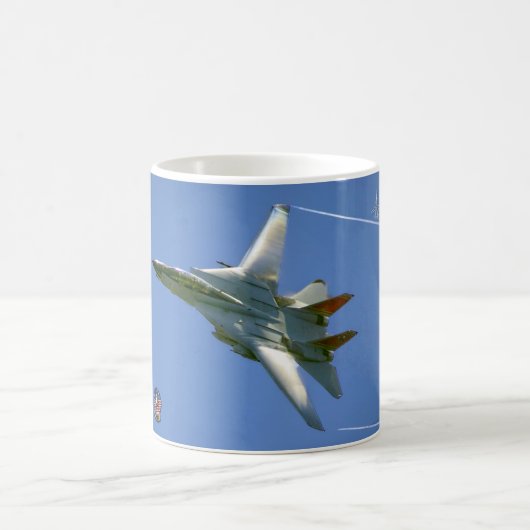 MUG F-14 TOMCAT "TALLY HO" (Centre)