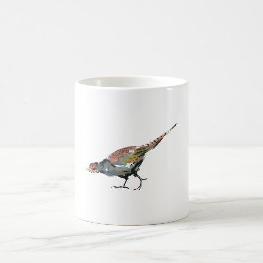 Mug Faisan (Centre)