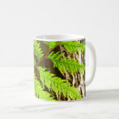 Mug Faits saillants d'un Arboretum d'un Séquoia (Devant droit)