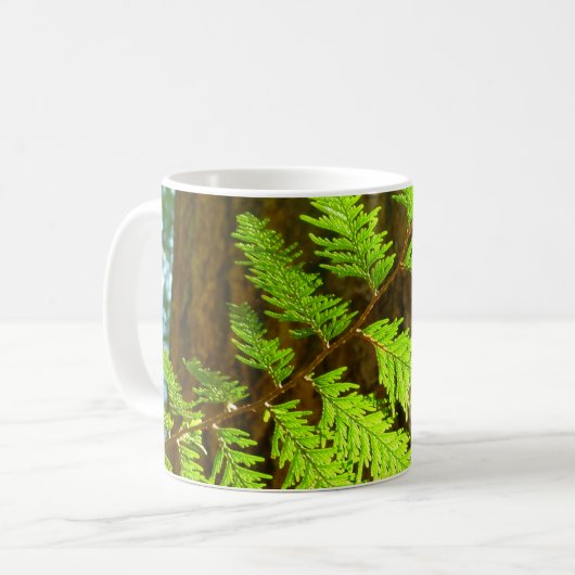 Mug Faits saillants d'un séquoia botanique (Devant gauche)