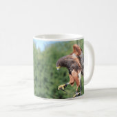 Mug Falcone, Jesse Harris Hawk (Devant droit)