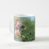 Mug Falcone, Jesse Harris Hawk (Devant gauche)