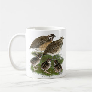 Mug Famille de cailles de Coturnix
