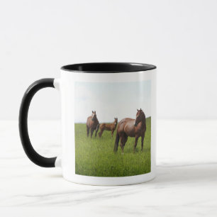 Mug Famille de cheval dans le domaine