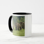 Mug Famille d'éléphants indiens (Devant gauche)