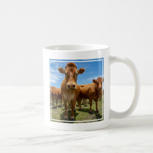 Mug Farms   Brown cow
