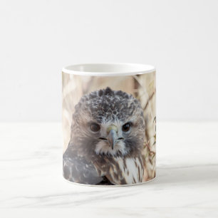 Mug Faucon coupé la queue par rouge