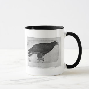 Mug Faucon, le de l'album de Vallardi