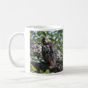 Mug faucon Rouge-coupé la queue