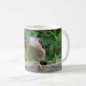 Mug Faucon Shinned par dièse observant votre jardin (Devant droit)