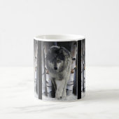 Mug Faune Loup gris conception animal amoureux (Centre)