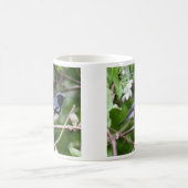 Mug fauvette bleue Noir-throated (Centre)
