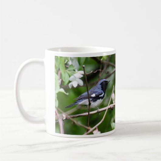 Mug fauvette bleue Noir-throated (Gauche)