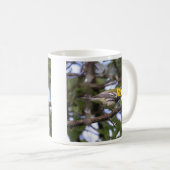 Mug fauvette verte Noir-throated (Devant droit)