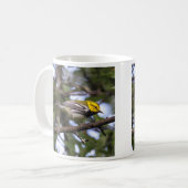 Mug fauvette verte Noir-throated (Devant gauche)