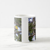 Mug fauvette verte Noir-throated (Centre)