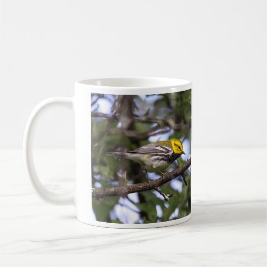 Mug fauvette verte Noir-throated (Gauche)