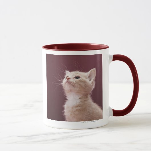 Mug Favoris de chaton (Droite)