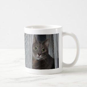 Mug Feline Jolie Kitty Cutest Chat Jamais Photo Musiqu