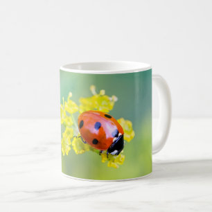 Mug femme au sommet