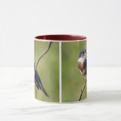 Mug Femme Belted Kingfisher dehors sur un membre (Centre)