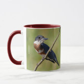Mug Femme Belted Kingfisher dehors sur un membre (Gauche)