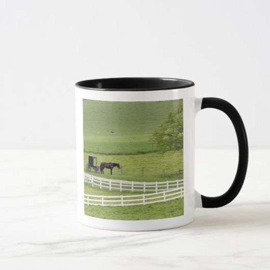 Mug Ferme Amish avec cheval et buggy près de Berlin, (Droite)