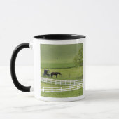 Mug Ferme Amish avec cheval et buggy près de Berlin, (Gauche)